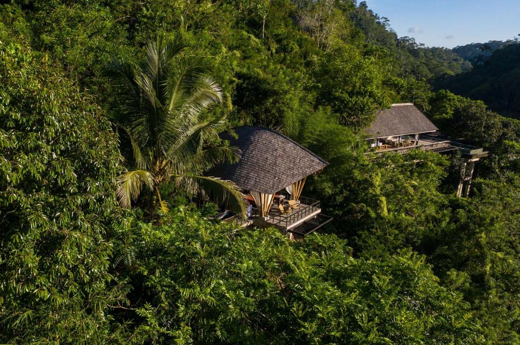 buahan banyan tree escape