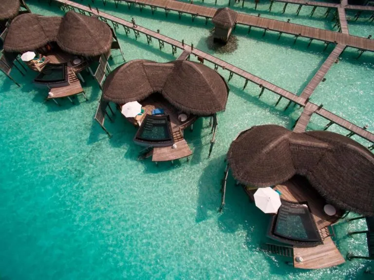 sejururi maldive tripador