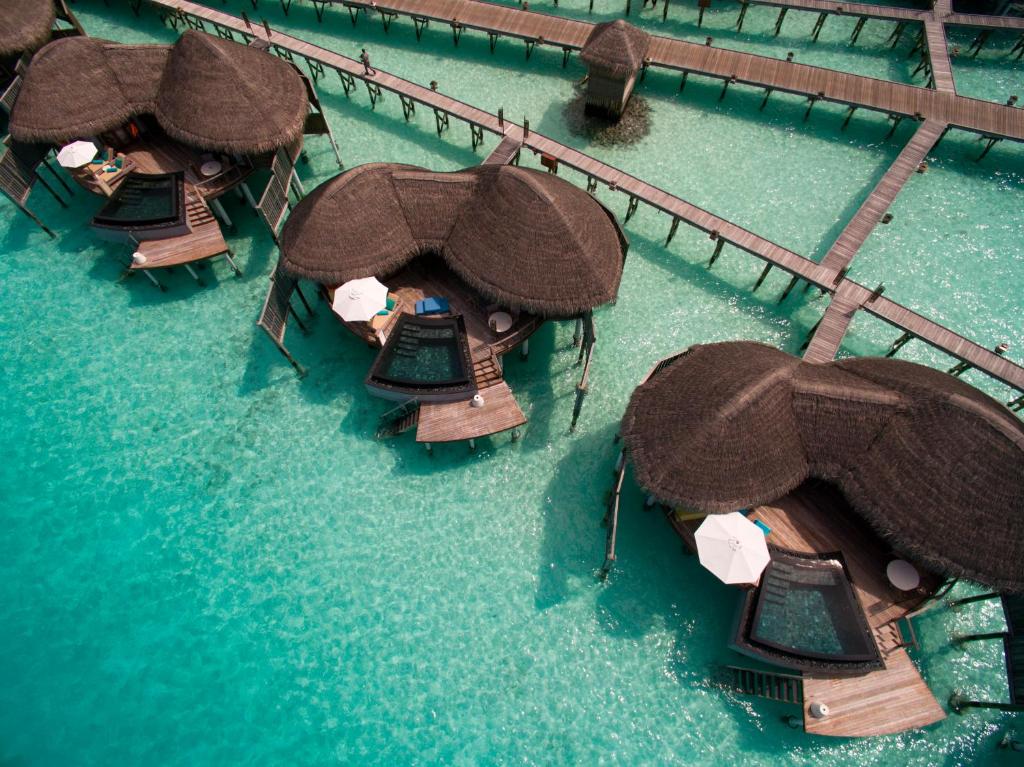 sejururi maldive tripador